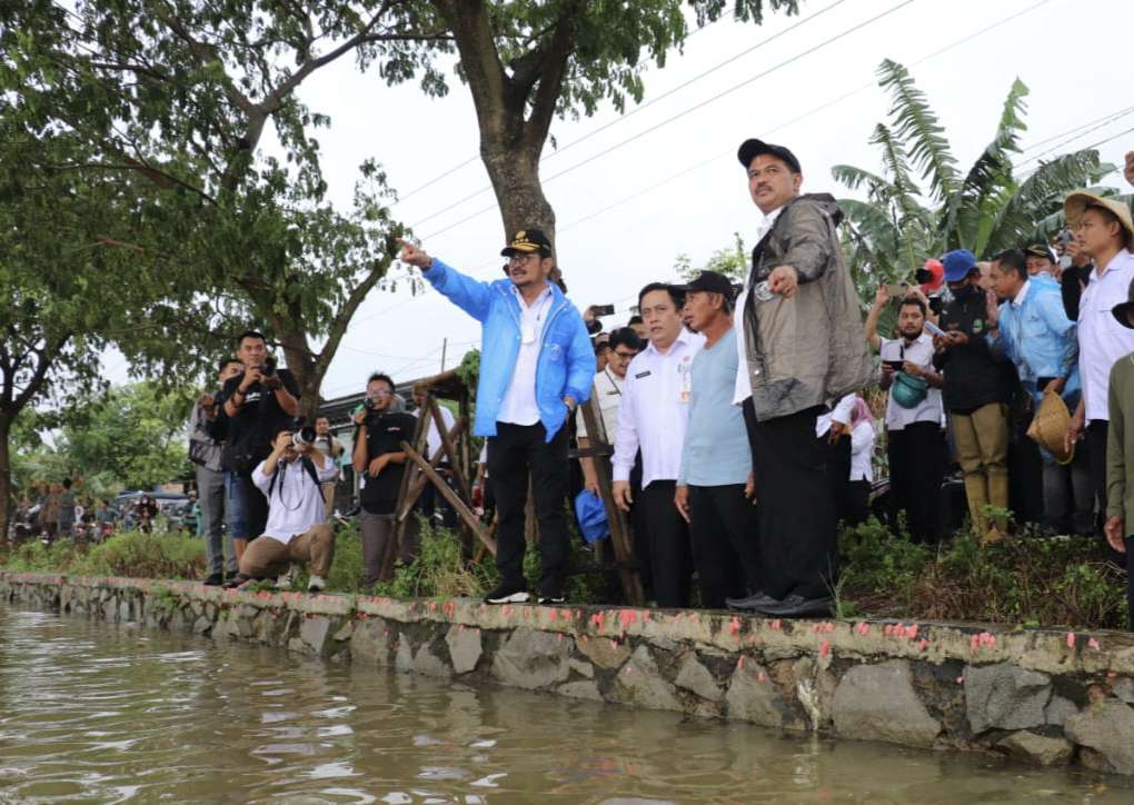 Sekda Dedy Supriyadi Dampingi Menteri Pertanian Tinjau Sawah Terdampak Banjir di Tambelang